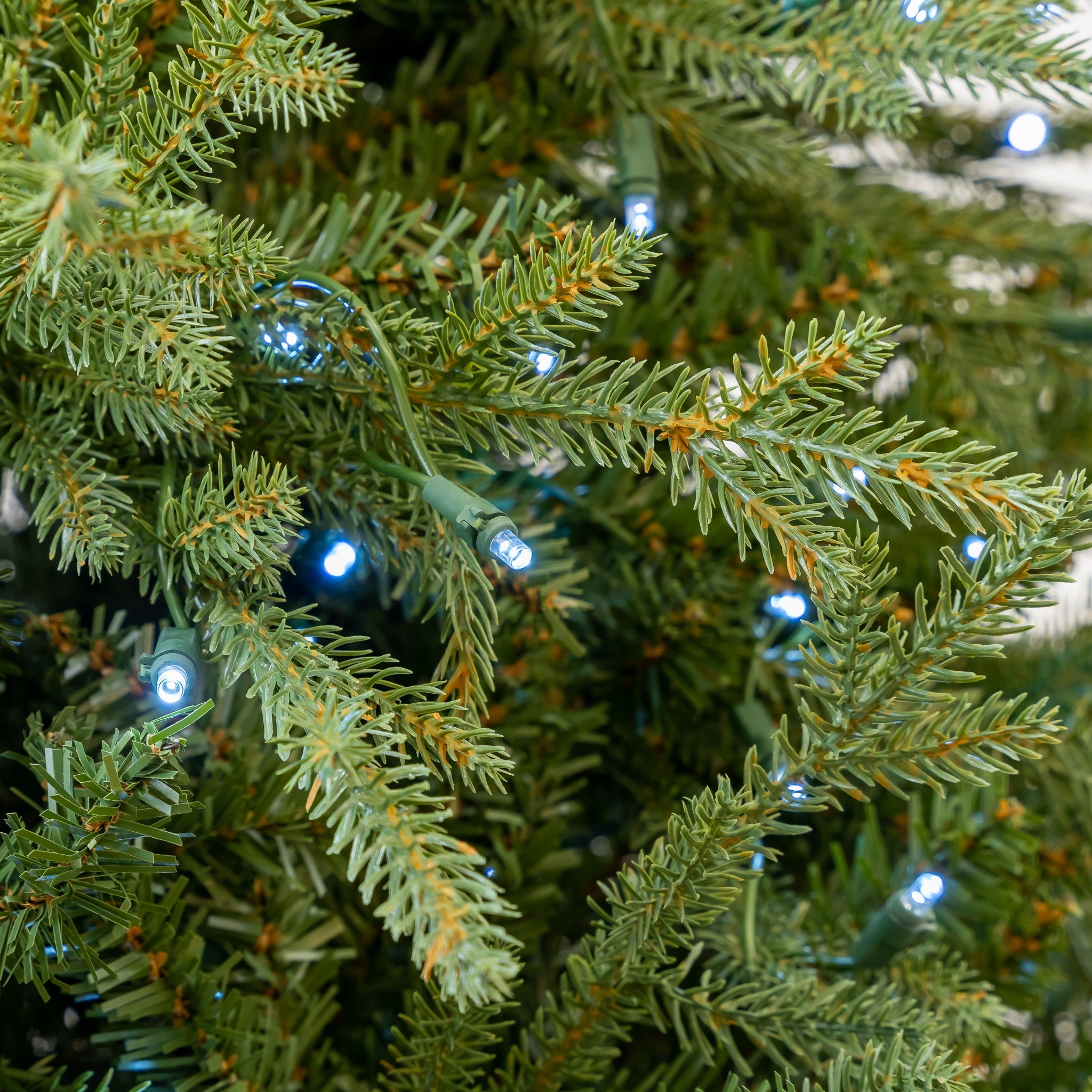 Kentucky Fir Tree Pre-Lit Cool Blue LED Lights