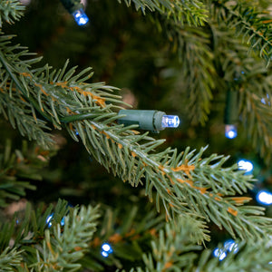 Kentucky Fir Tree Pre-Lit Cool Blue LED Lights