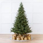 Newbury Pine Tree Pre-Lit Micro Warm White LED Lights