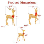 6.5ft 3-Piece Lighted Christmas Deer Set Outdoor Decor with LED Lights