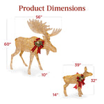 5ft 2-Piece Moose Family Lighted Outdoor Christmas Decor Set w/ LED Lights