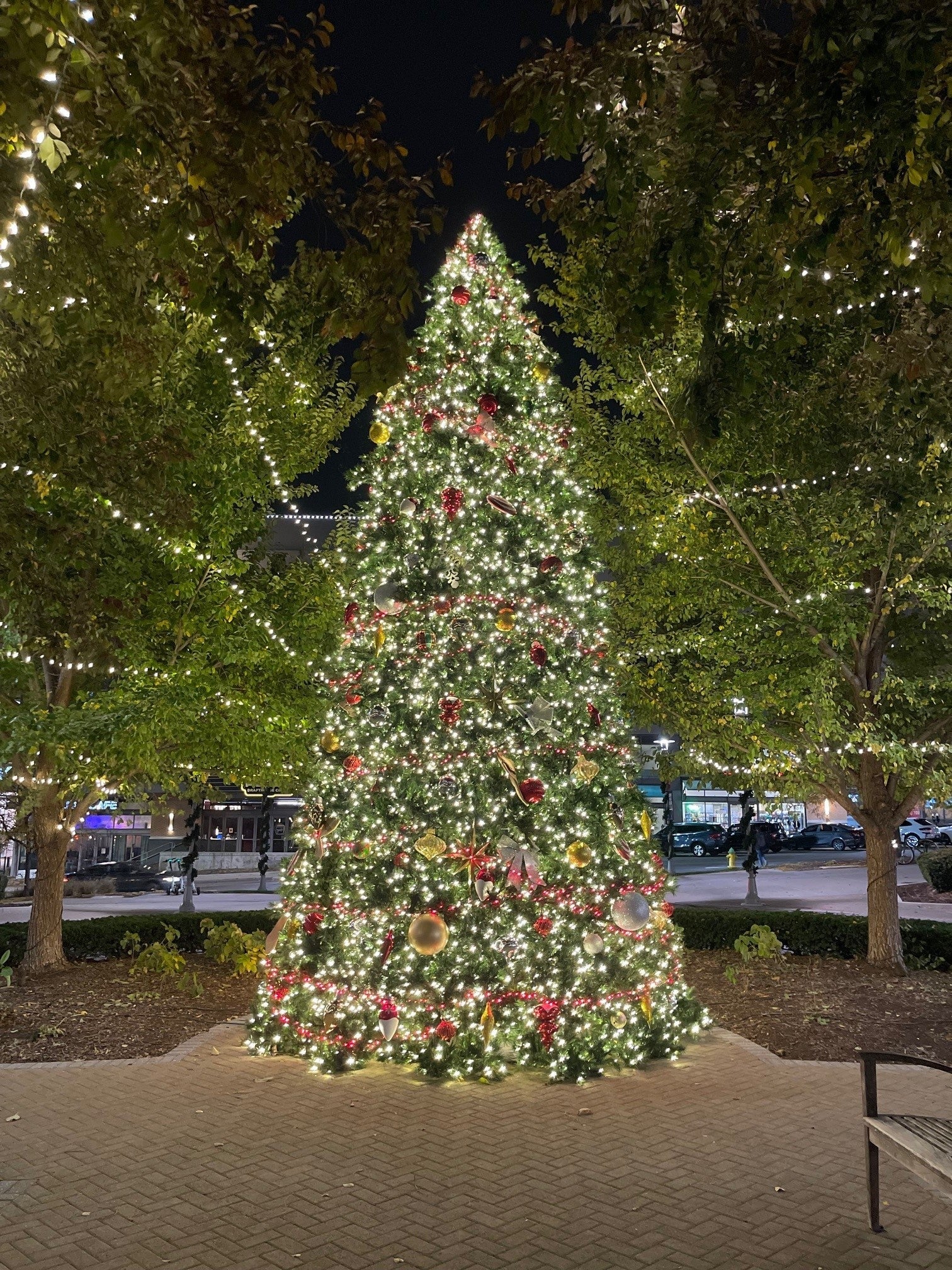 Commercial Tower Tree