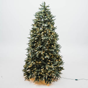 Noble Fir Deluxe Christmas Tree