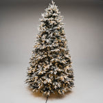 Noble Fir Deluxe Christmas Tree