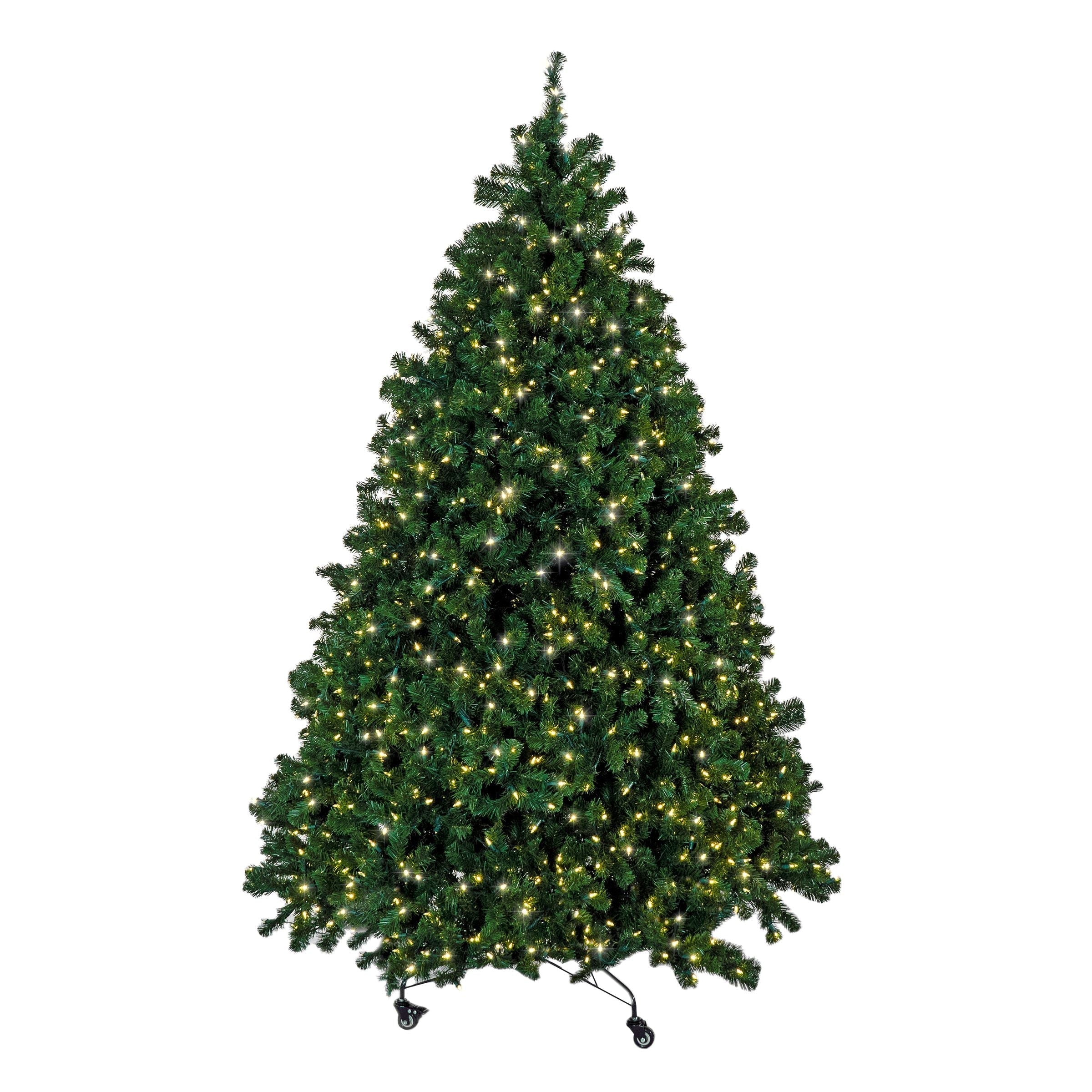 Sequoia Fir Christmas Tree